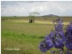 Atherton QLD 4883