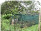 Tolga QLD 4882