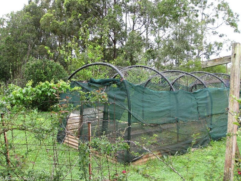 Tolga QLD 4882