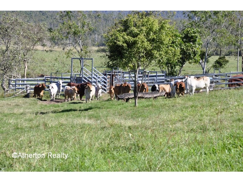 Atherton QLD 4883