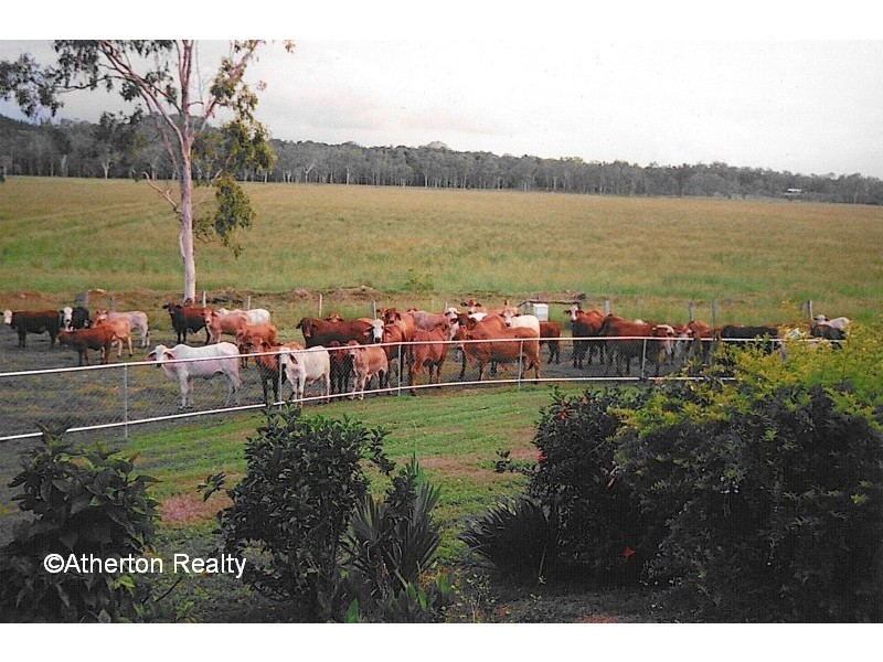 Atherton QLD 4883