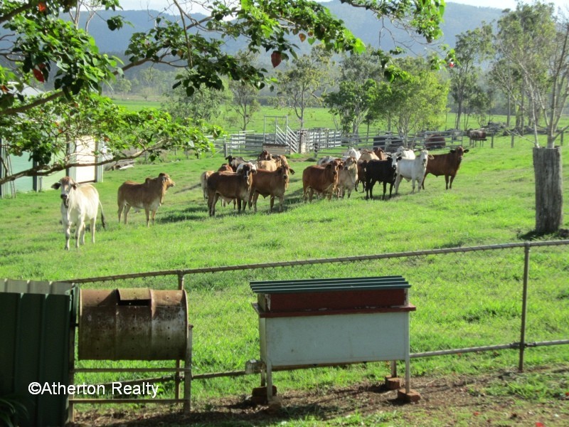 Atherton QLD 4883