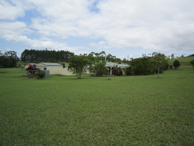 Yungaburra QLD 4884