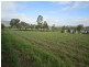Tolga QLD 4882