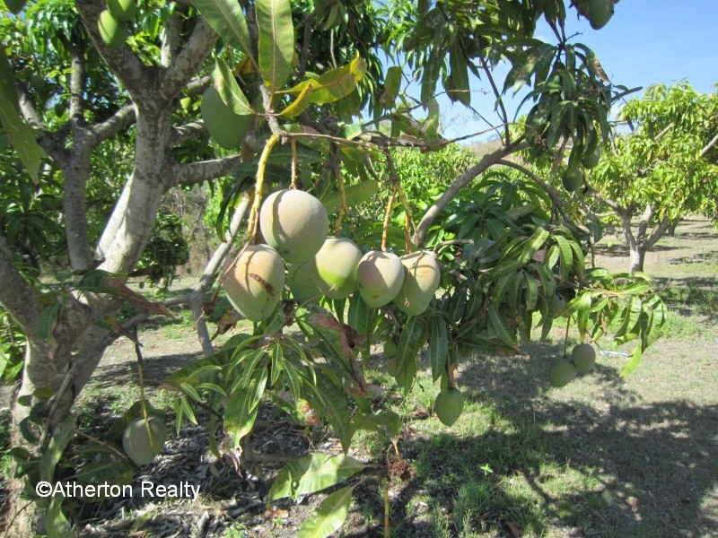 Mareeba QLD 4880