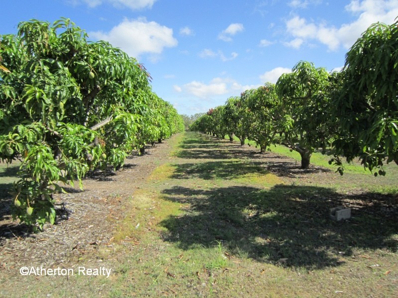 Mareeba QLD 4880