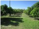 Mareeba QLD 4880