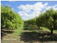 Mareeba QLD 4880