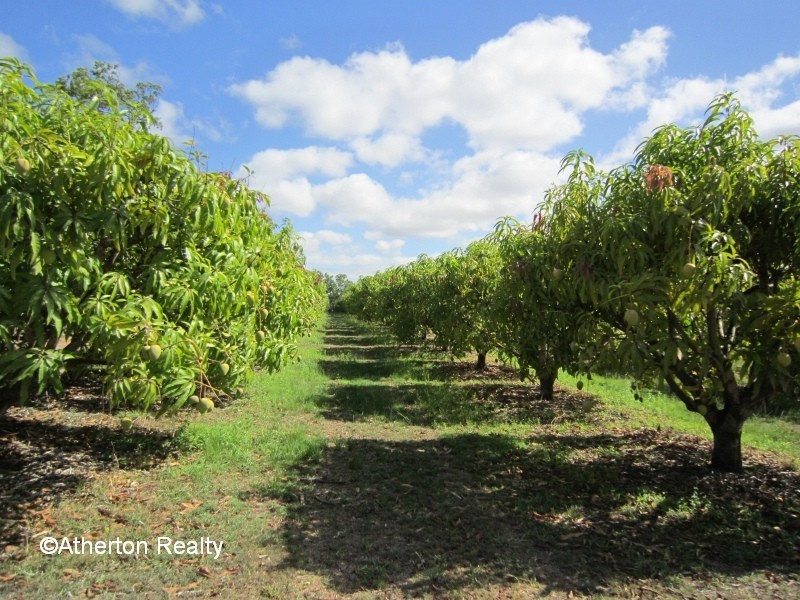 Mareeba QLD 4880
