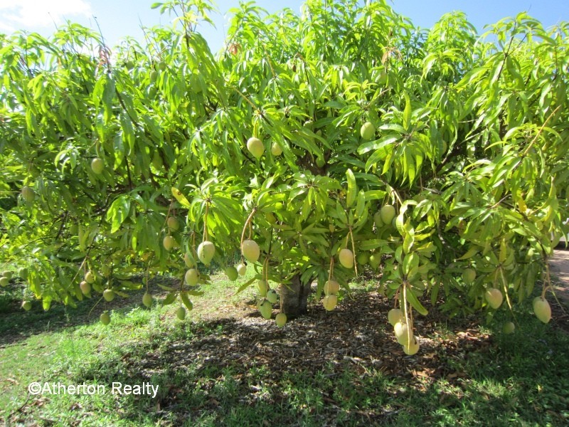 Mareeba QLD 4880