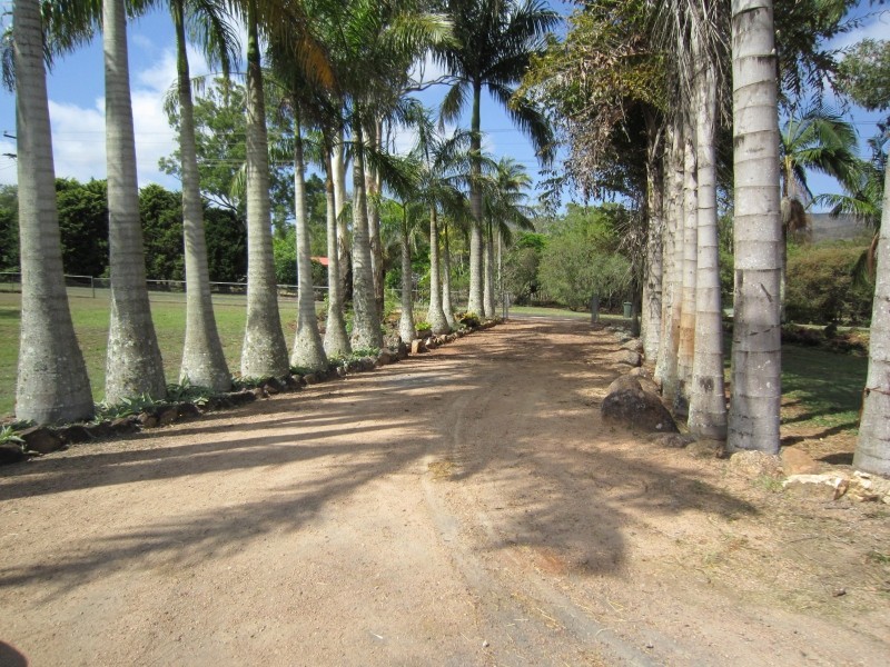 Tolga QLD 4882