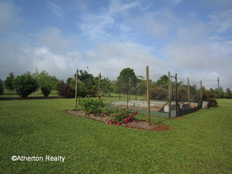 Lake Eacham QLD 4884