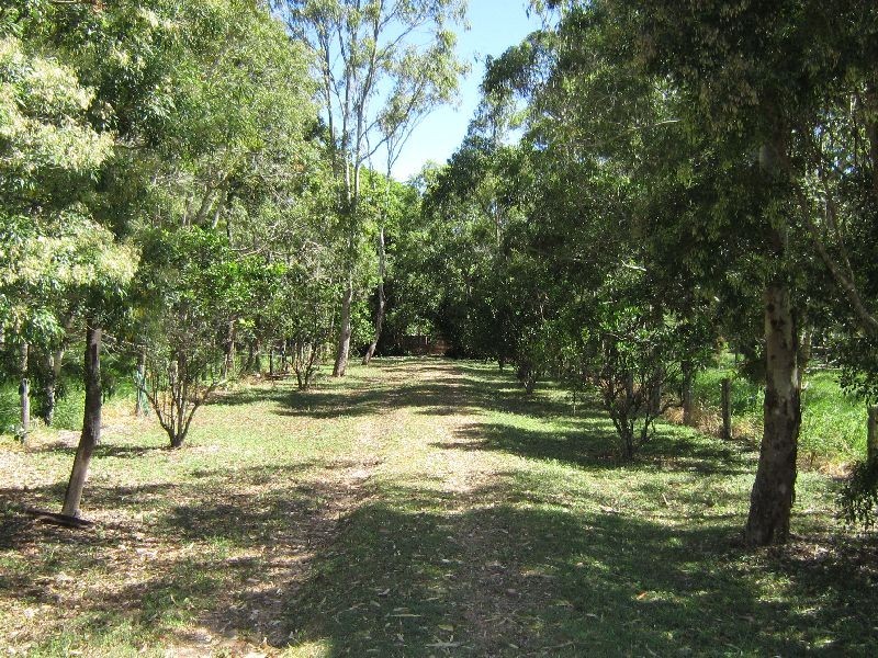 Tolga QLD 4882