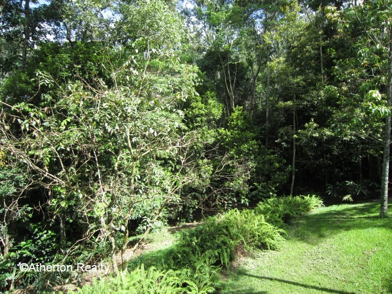 Lake Eacham QLD 4884