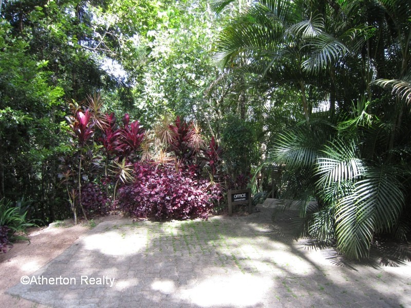 Lake Eacham QLD 4884