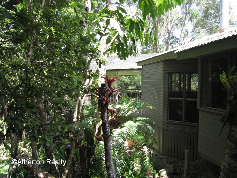 Lake Eacham QLD 4884