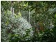 Atherton QLD 4883
