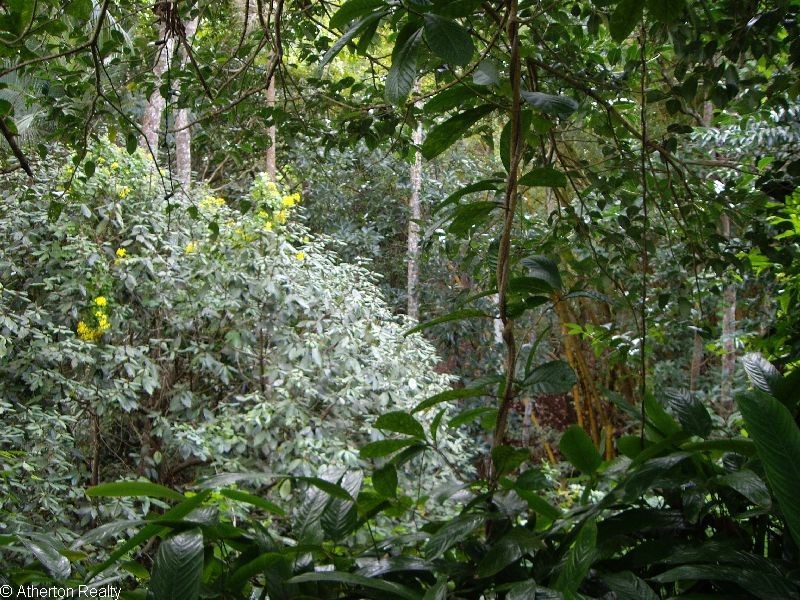 Atherton QLD 4883