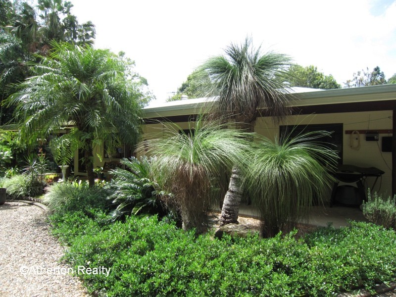 Lake Eacham QLD 4884