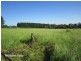 Tolga QLD 4882