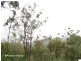 24 Mowbray Rd, Herberton QLD 4887