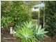 Tolga QLD 4882