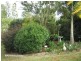 Tolga QLD 4882