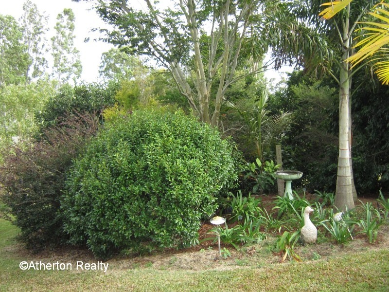 Tolga QLD 4882