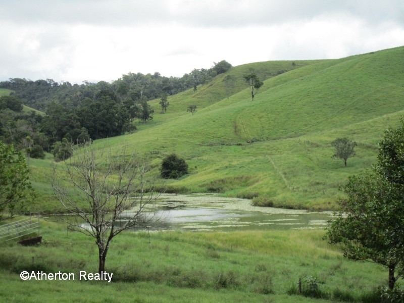 Upper Barron QLD 4883