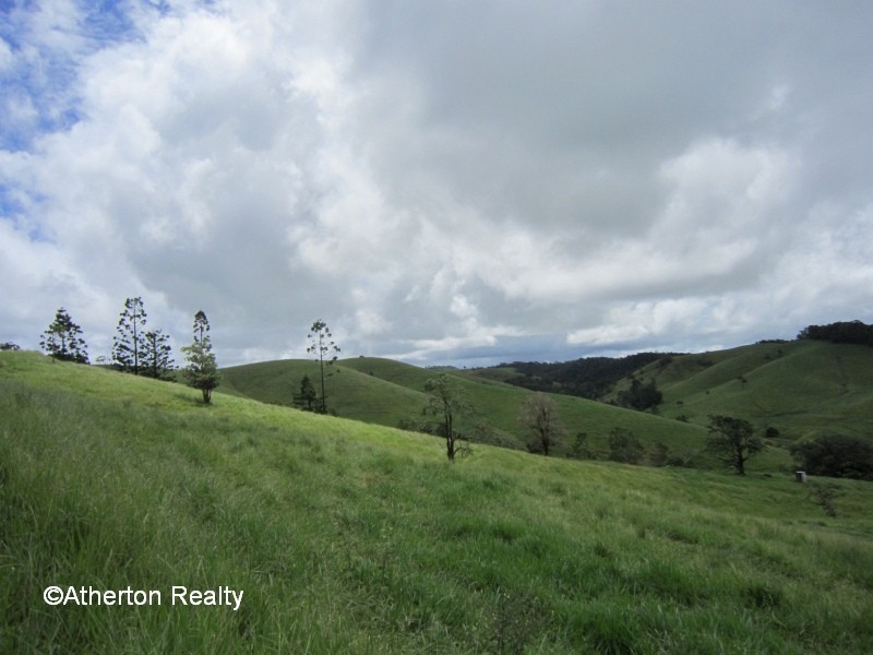 Upper Barron QLD 4883