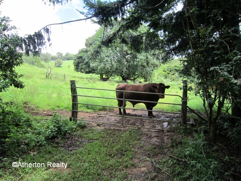 Upper Barron QLD 4883