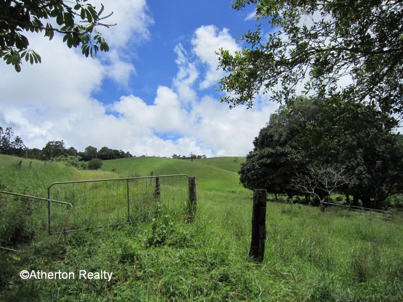 Upper Barron QLD 4883