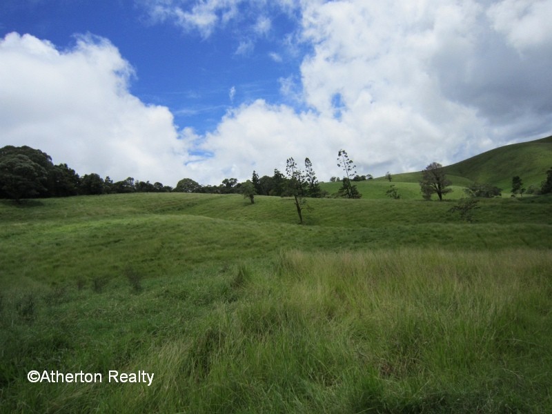 Upper Barron QLD 4883