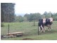 Tolga QLD 4882