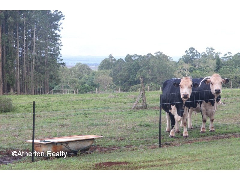 Tolga QLD 4882
