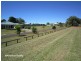 Yungaburra QLD 4884