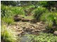 Wondecla QLD 4887