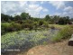 Wondecla QLD 4887