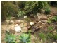 Wondecla QLD 4887