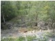 Mareeba QLD 4880