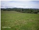 Yungaburra QLD 4884