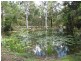 Walkamin QLD 4872