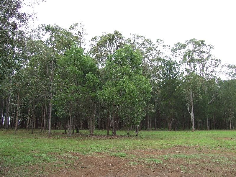 Yungaburra QLD 4884