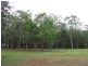 Yungaburra QLD 4884