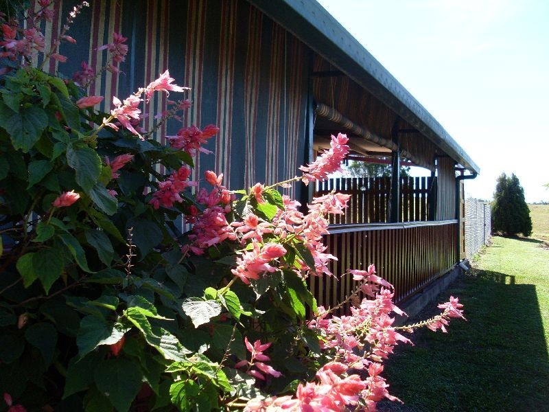 Lake Eacham QLD 4884