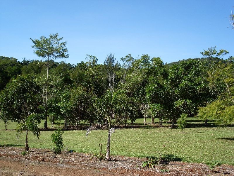 Lake Eacham QLD 4884