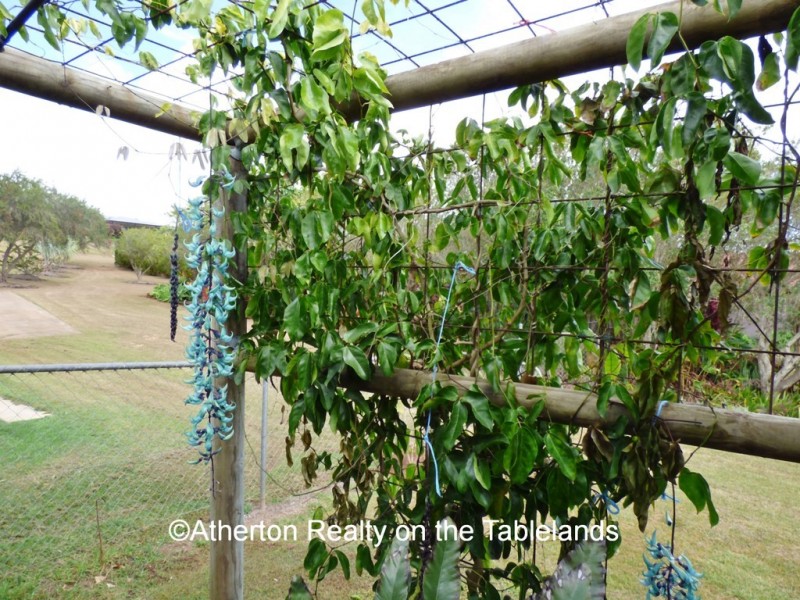 6 Goodwin Close, Tolga QLD 4882