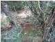 Lake Eacham QLD 4884