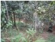Lake Eacham QLD 4884