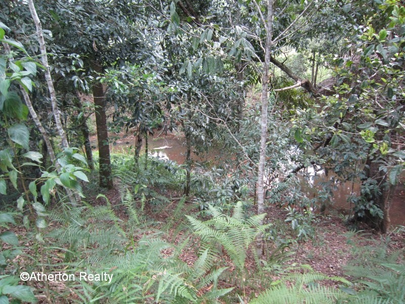 Lake Eacham QLD 4884